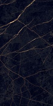 Flaviker Supreme Evo керамогранит Noir Laurent Lux+ 120*280*6