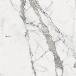 Italon Charme Evo Floor Project керамогранит Statuario Matt and Rectified 80*80*9