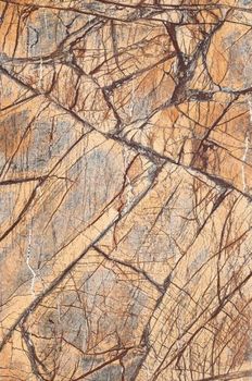 Gani Ceramik Marble керамогранит Rainforest Brown 60*90