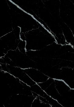 Gani Ceramik Marble керамогранит Nero Marquina 60*90