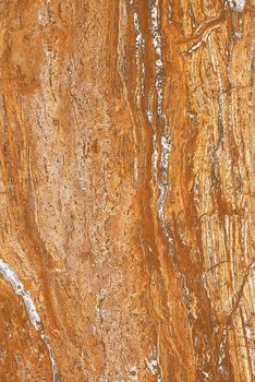 Gani Ceramik Marble керамогранит French Gold 60*90*12