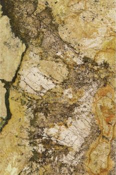 Gani Ceramik Marble керамогранит Shangrila 60*90