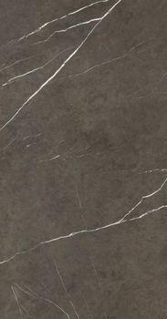 Apavisa Pietra 6 керамогранит Pietra Grey Polished 119.3*260*6