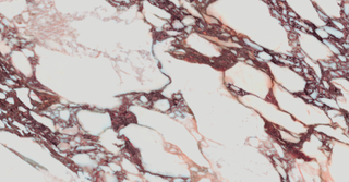 Laminam I Naturali Marmi керамогранит Calacatta Viola Naturale 120*300*5