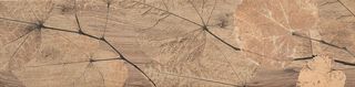 Del Conca Foreste d Italia декор Foliage Noce 20*80*10.3