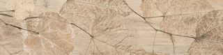 Del Conca Foreste d Italia декор Foliage Beige 20*80*10.3