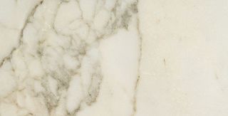 Fioranese Prestige керамогранит Borghini Polish 30*60*10