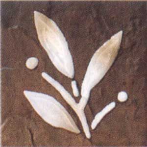 Bayker Patagonia декор Inserto Caffe 3 10*10