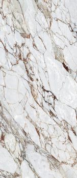 Керамогранит Arabescato Oro CP 03 LUC SQ 120*278*6