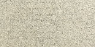 Настенная плитка Print Beige 80*160