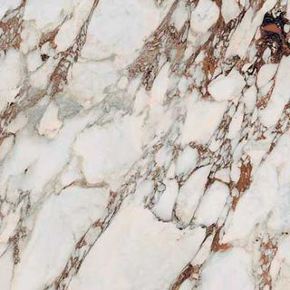 Rex Les Bijoux De Rex керамогранит Brèche Capraia Glossy 80*80*10