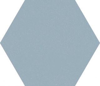 Marca Corona Paprica керамогранит Paprica Blue Esa 25*21.6*9