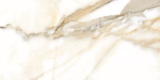 Fanal Calacatta Gold декор Dec. Calacatta B NPlus 60*120