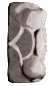 AVA Eden спец. элемент Ang. Chiusura Listello Lustrato V Fandango 2.8*2.8