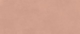 Керамогранит Bloom Matte 120*278*6