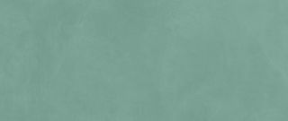 Настенная плитка Moss Matte 50*120*8.5