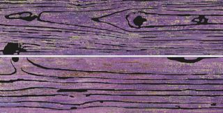 Brennero Folli Follie декор Lacche Legni Ametista 2 pz Misti Dec. 15*60