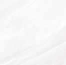 Напольная плитка Absolute Ice 49.1*49.1