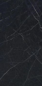 Ariostea Marmi Cento2Cento керамогранит Nero Marquinia Polished 100*200*9