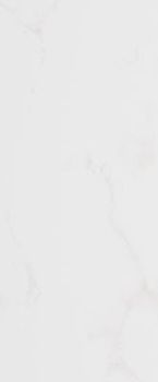 Creto Forza настенная плитка White Wall 01 25*60*9