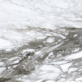 Roberto Cavalli Lush керамогранит Calacatta Renior Lx Rt 119*119*9.5