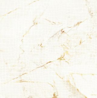 Roberto Cavalli Lush декор Calacatta Oro Animalier Lp Rt 19.6*19.6*9.5