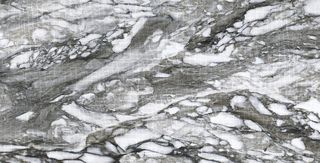 Roberto Cavalli Lush декор Calacatta Renoir Animalier Lp Rt 59.4*119*9.5