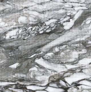 Roberto Cavalli Lush декор Calacatta Renoir Animalier Lp Rt 19.6*19.6*9.5