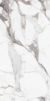 Rex Les Origines De Rex керамогранит Argent Glossy 160*320*6