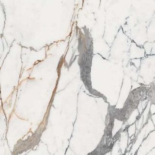 Rex Les Origines De Rex керамогранит Or Glossy 120*120*6