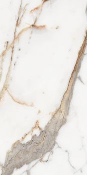 Rex Les Origines De Rex керамогранит Or Matt 30*60*10