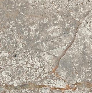 Atlas Concorde Russia Empire вставка Silver Root Bottone 7.2*7.2