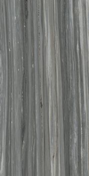 Italon Charme Advance Floor Project керамогранит Palissandro Dark Matt Rect 80*160*9