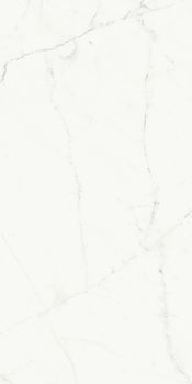 FMG Select керамогранит Bianco Venato Extra Lappato 60*120*9