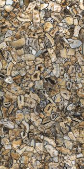 FMG Marmi керамогранит Agata Atena Lucidato 150*300*6