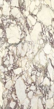 FMG Marmi керамогранит Breccia Medicea Pre-polished 37.5*75