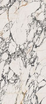 Flaviker Supreme Treasure керамогранит Corchia Gold Lux Ret 60*120*9