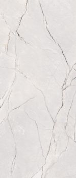 Flaviker Supreme Treasure керамогранит Greylac Platinum Nat Ret 60*120*9