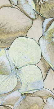 Villeroy&Boch Rockyart декор Limelight 60*120*10