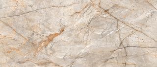 Neodom Titanium керамогранит Silver River Carving 120*280