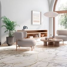 Керамогранит Ariana Epoque 21