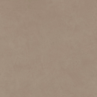 Керамогранит Ecru 60*60*9