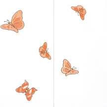 La Mia Profumi Farfalle Arancio Comp2