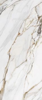 AVA Marmo E Pietra керамогранит Macchia Antica Lappato 120*280*6