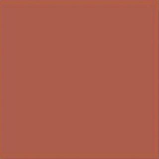 Vives Monocolor напольная плитка Teja 20*20