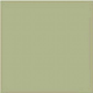 Vives Monocolor напольная плитка Musgo 20*20