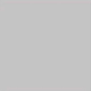 Vives Monocolor напольная плитка Humo 20*20