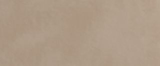 Настенная плитка Biscotto 50*120*8.5