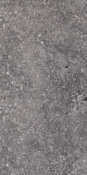 Rex Pietra Del Nord керамогранит Nord Grigio Ant. Nat 40*80*10