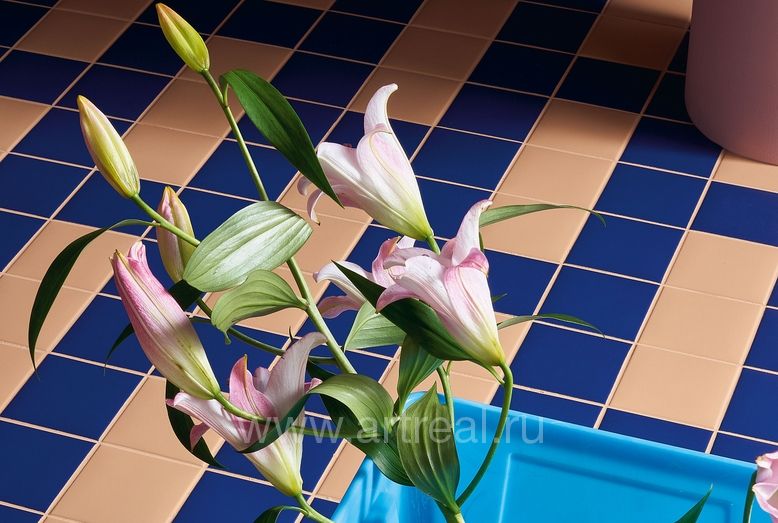 Керамогранит 41zero42 Pixel41 в интерьере